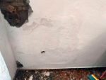 Empresa de pintores en Córdoba y trabajos verticales en Córdoba. Impermeabilización, solución para la humedad, pintura industrial, colocación de papel pintado, tapado de gotelé, decoración de interiores, estuco veneciano y lacado de puertas.